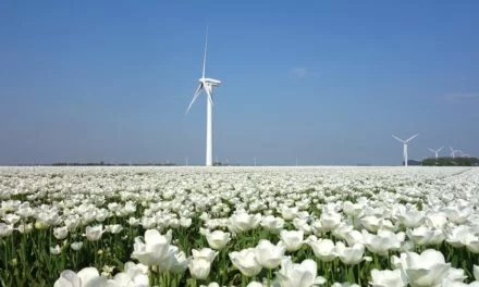 Sådan får du strøm fra danske vindmøller
